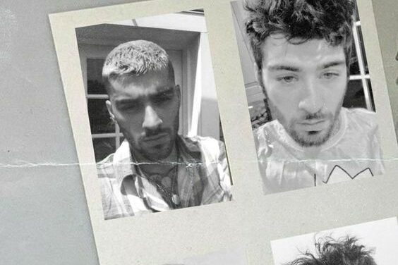 zayn malik hair 2022 best song ever